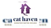 Baton Rouge cat shelter reopens while kittens recover from virus