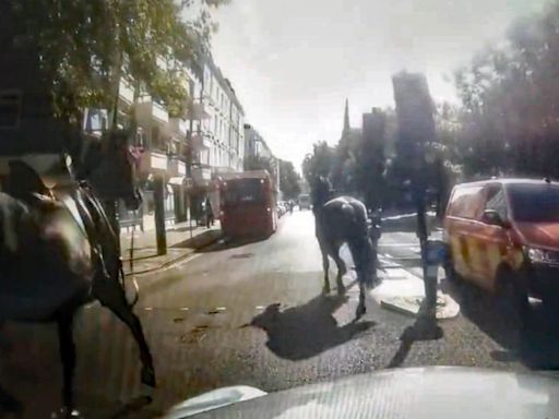 Military horses bolt through London streets again