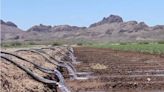 Central Arizona farms rely on groundwater. How research aims to help farmers adapt, protect aquifers