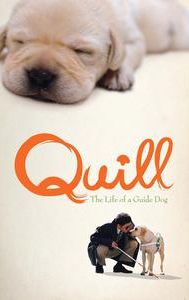 Quill: The Life of a Guide Dog