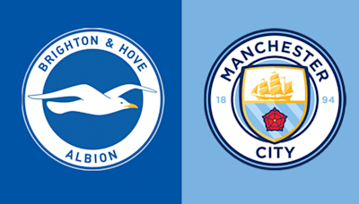 Brighton & Hove Albion v Manchester City preview: Team news, head to head and stats