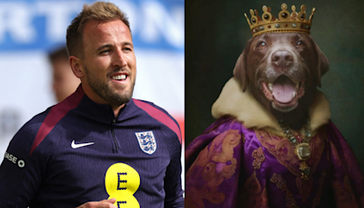 Harry Kane set to be joined by his dog at Euro 2024 as England team mock up hilarious royal portraits of squad's beloved pets | Goal.com United Arab Emirates