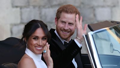 Harry and Meghan are 'rogue, quasi-royal agents roaming the world unchecked'