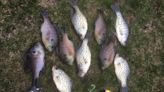 Atherton: Why crappies offer fantastic foul-weather fishing