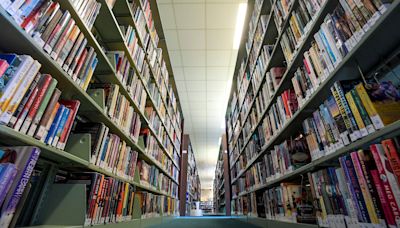 Alabama House approves bill banning 'sexual content' in public libraries
