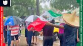 "La lluvia no nos va a doblar": Mexicanos esperan entre 10 y 12 horas para votar en Dallas