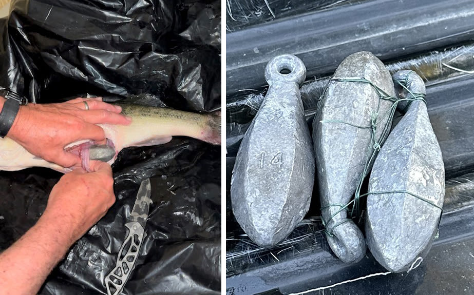 Louisiana Man Arrested After Stuffing 2.5 Pounds of Lead Weights into Bass at Fishing Tourney
