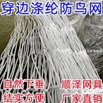 【現貨】滌綸防鳥網尼龍復絲穿邊青蛙魚塘大棚草莓通網口天溝泥鰍防鳥天網-維尼創意家居