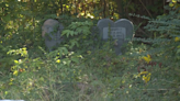 Memphis cemetery blighted by trash, overgrown bushes