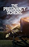 The Pregnancy Scheme