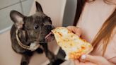 New Study Identifies the Surprising Foods Making Your Dog Overweight