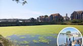 Calls for action as tourists put off by ‘smelly green lake’