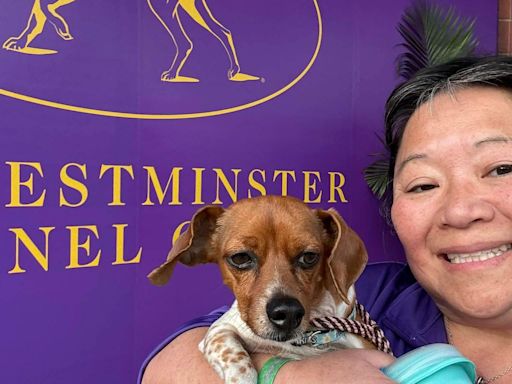 Wilmington woman and her All-American dog achieve big marks at Westminster competition