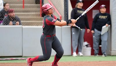 College softball's all-time home run leaders