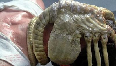 Alien: Romulus Released A Video Of 'Real' Facehuggers And They're Nightmare Fuel