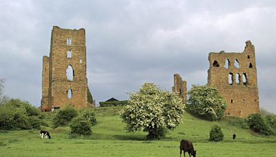 Objections to holiday lodges near castle ruins