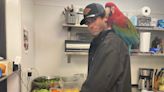 An 18-year-old employee at a California bird sanctuary traversed floodwaters and mudslides to feed 50 rescue parrots during storm