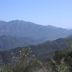 Los Padres National Forest