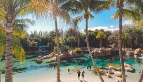 Medical Examiner’s Office: Girl, 13, found unresponsive in Discovery Cove pool accidentally drowned