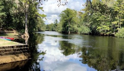 David Freeze: More state parks starting with the black water river - Salisbury Post