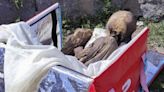 Hombre tenía en casa una momia prehispánica como ‘novia espiritual’