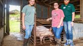 Pen pals: Lovelace sisters enjoy growing pigs together in 4H project