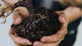 Milpitas residents can get free compost
