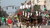 Budweiser Clydesdales will return to Savannah for St. Patrick's Day. Here is where to see them