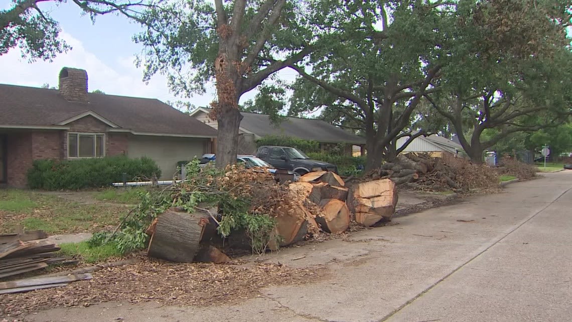 ‘I feel like it’s a lost cause’ | Neighbors frustrated as they wait for storm debris to be picked up