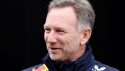 Horner gets to drive a Red Bull as stand-in for Vettel