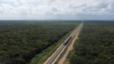 Mexico's Yucatan tourist train sinks pilings into relic-filled limestone caves, activists show