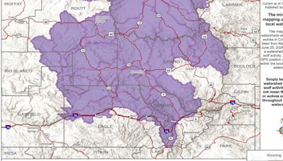 Wolves on the move in Colorado, but still haven't crossed I-70