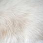 white Fur