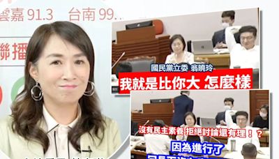 立院審警消所得替代率...「驚世立委」翁曉玲再嗆綠委神經病「我就是比你大怎樣？」林宜瑾：她說我們沒知識！