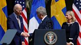 Biden cheers Finland and Sweden's 'momentous' NATO applications