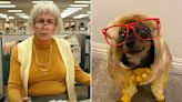 Rescue Dogs Dress Up as Characters from Jamie Lee Curtis Films to Honor Her 2023 SAG Awards Win