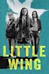 Little Wing (2024 film)