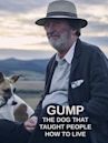 Gump: The Dog That Taught People How to Live