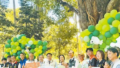 14棵樹齡逾300年 台南推老樹巡禮 - 地方新聞