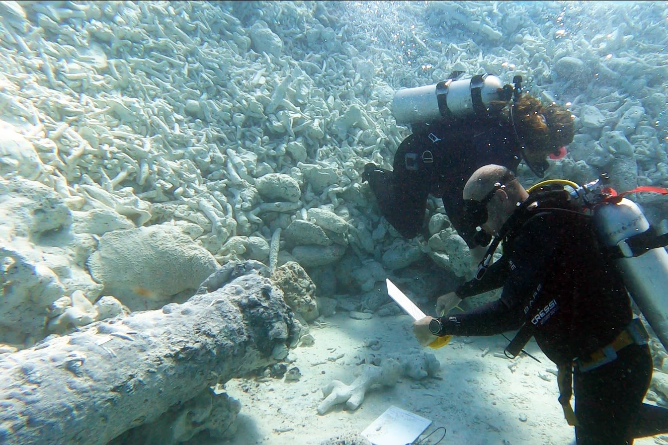 "Unexpected underwater revelation" as Russian cannons found in Bahamas