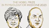 Nobel de Medicina: premian a dos investigadores que abrieron camino a las vacunas ARN mensajero contra el Covid-19