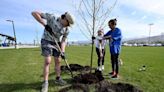 Why Salt Lake City plants thousands of new trees every year