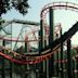 Anaconda (roller coaster)