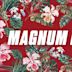 Magnum, P.I.