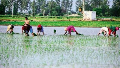 India records below-normal rain in June; July rainfall to be normal: IMD | Today News