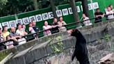 Video of bear at a Chinese zoo has people asking: Is that a bear or human in costume?