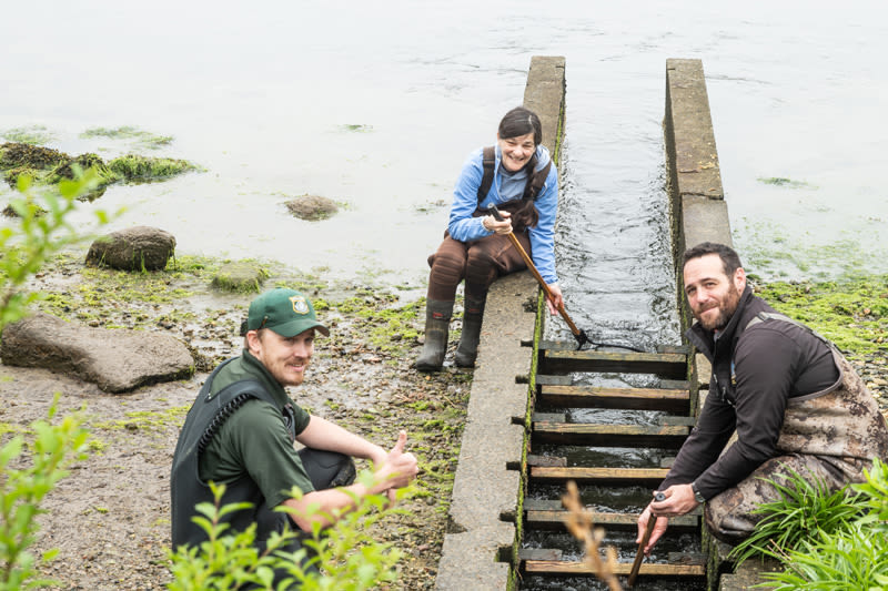 A small win for Island river herring - The Martha's Vineyard Times