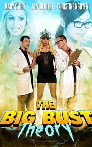 The Big Bust Theory