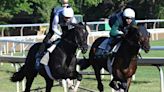 Competitive Belmont Stakes crowns massive racing festival at Saratoga