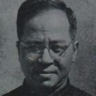 Wu Han (historian)